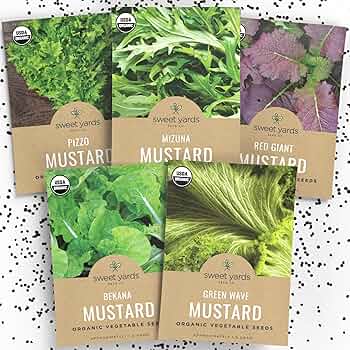 The Mustard Seeds☆Mustard Seeds A1eBoTNqU0L._UF350,350_QL50_.jpg